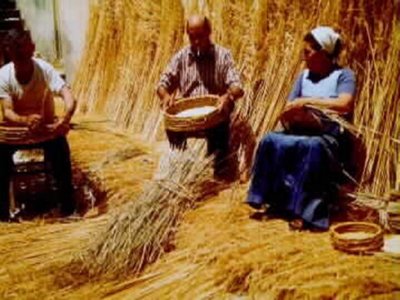 SIEGA (6)  CAMPESINOS